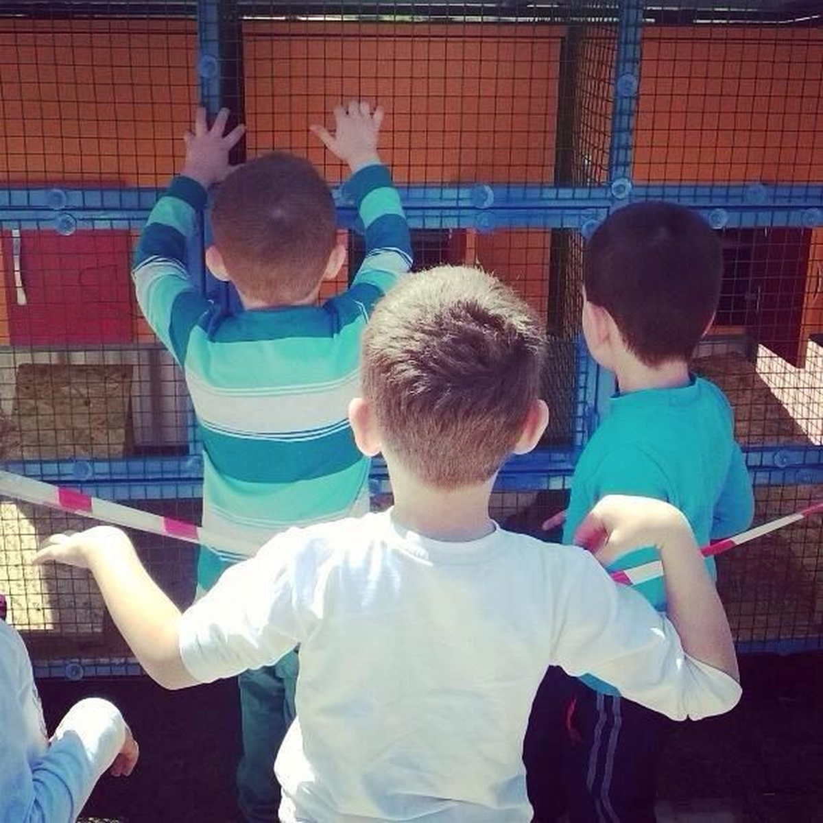 Minikler Doğallaştırılıyor