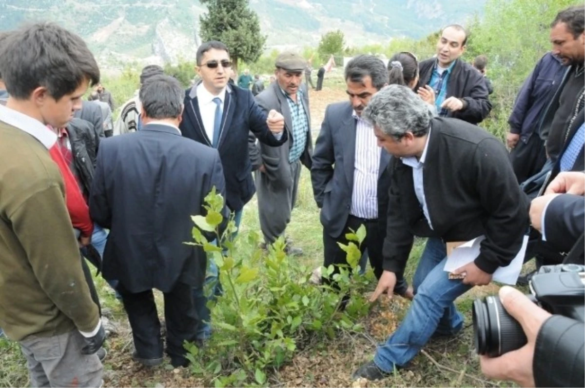 Orman Bölge Müdürlüğü, Çamlıyayla\'da Yeşil Altın Semineri Düzenledi