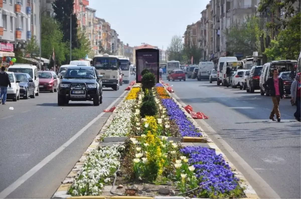 Orta Refüj Çiçek Açtı