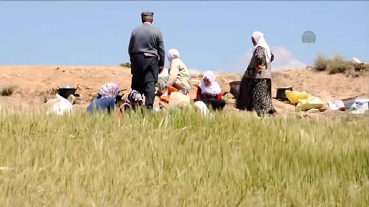 Çiftçiler yağmur duasına çıktı -