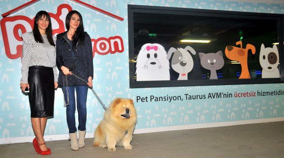 Evcil Hayvanlara AVM Yolu Açıldı