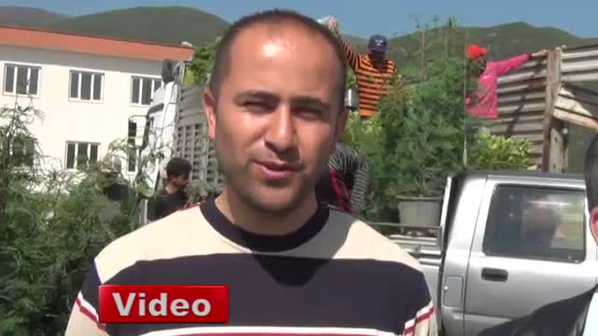 Mahkemeden Fidan Dikme Cezası