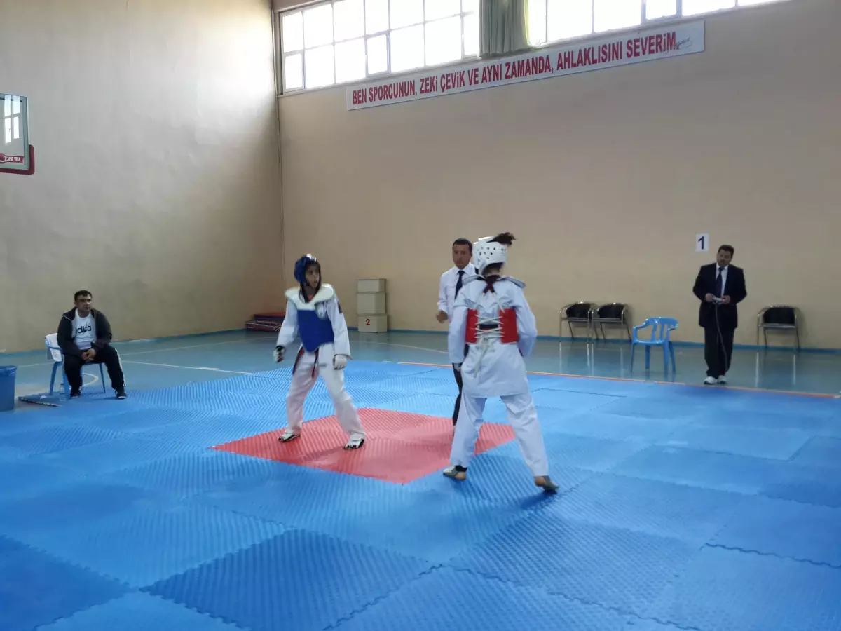 Öğrenciler Taekwondo Türkiye şampiyonasına hazırlanıyor
