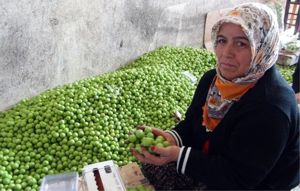 "Yeşil Altın" 300 Liradan 5 Liraya Düştü