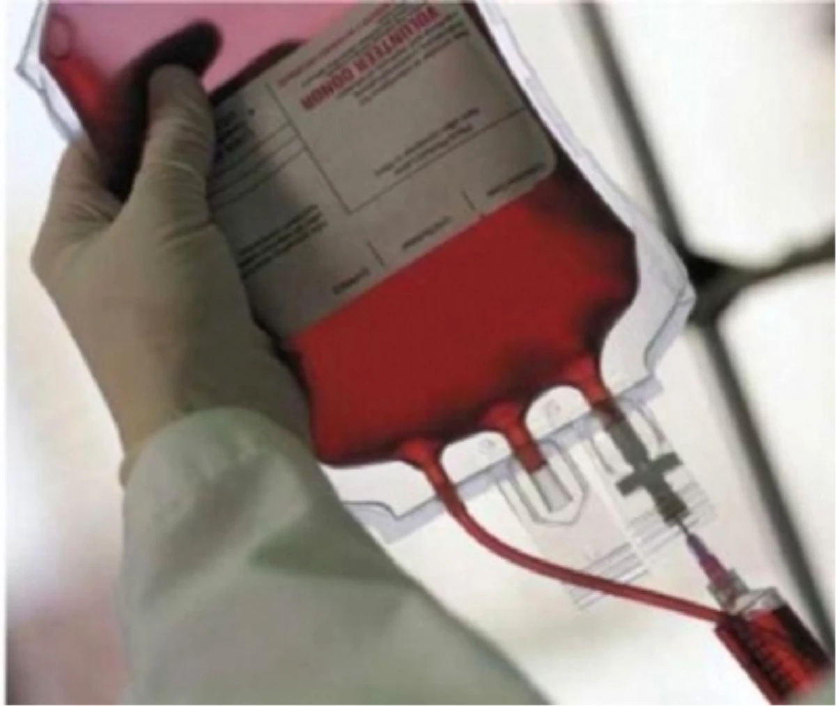 Sultangazi\'de Horonlu Kan Bağışı Kampanyasına Büyük İlgi