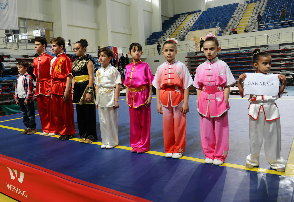 Türkiye Büyükler Wushu Şampiyonası