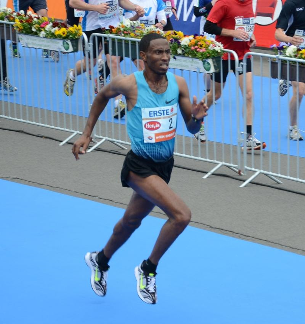 Viyana Şehir Maratonu