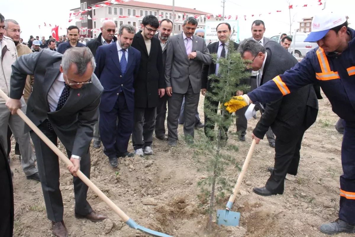 Karatay\'da 800 Fidan Toprakla Buluştu