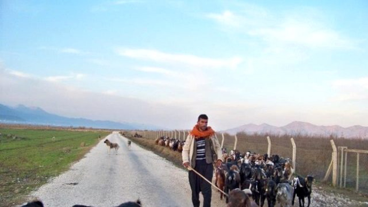 Hakkari\'de Sürü Yönetimi Kursu Açıldı