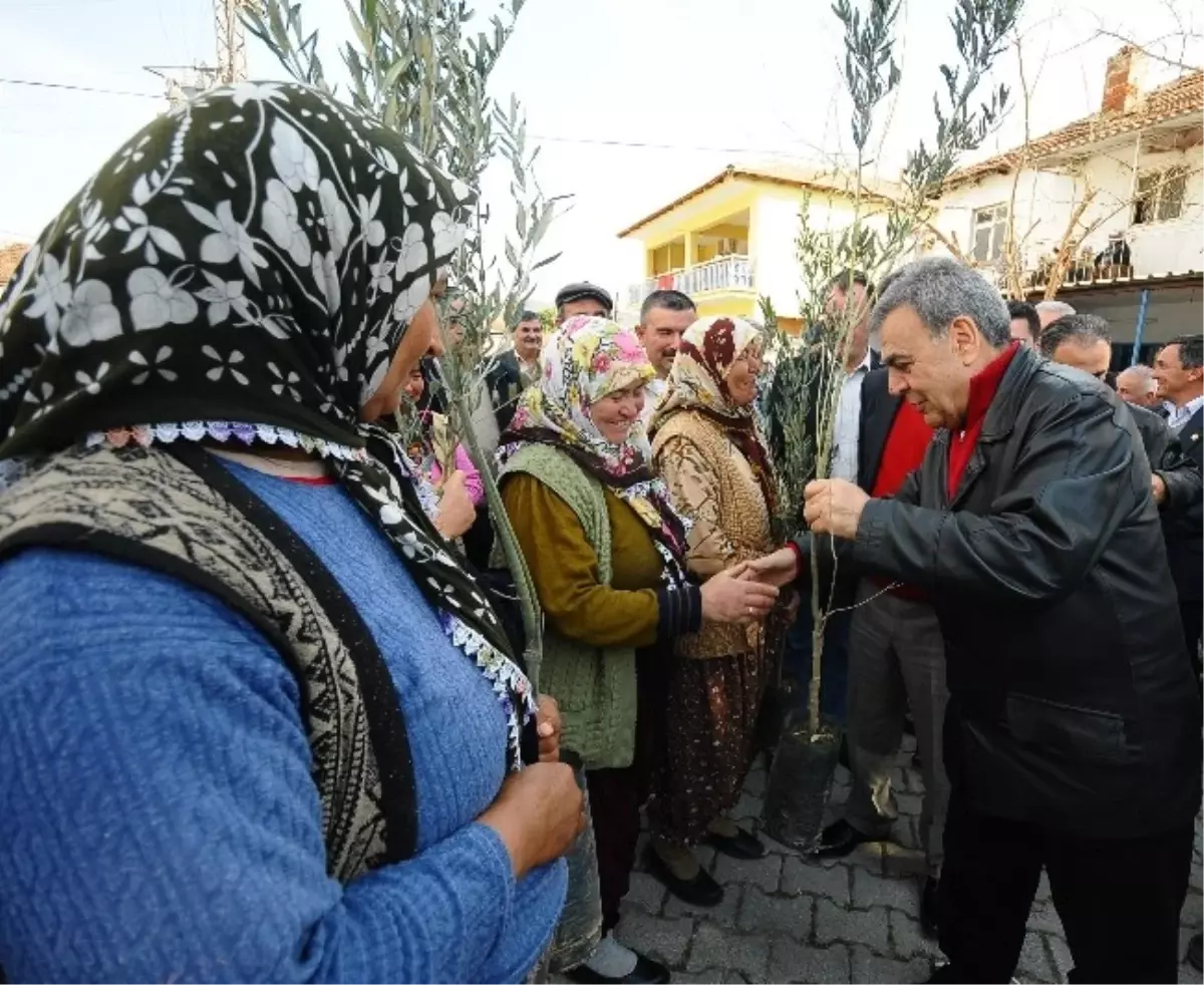 İzmir Büyükşehir\'den Üreticiye 1 Milyon Fidan