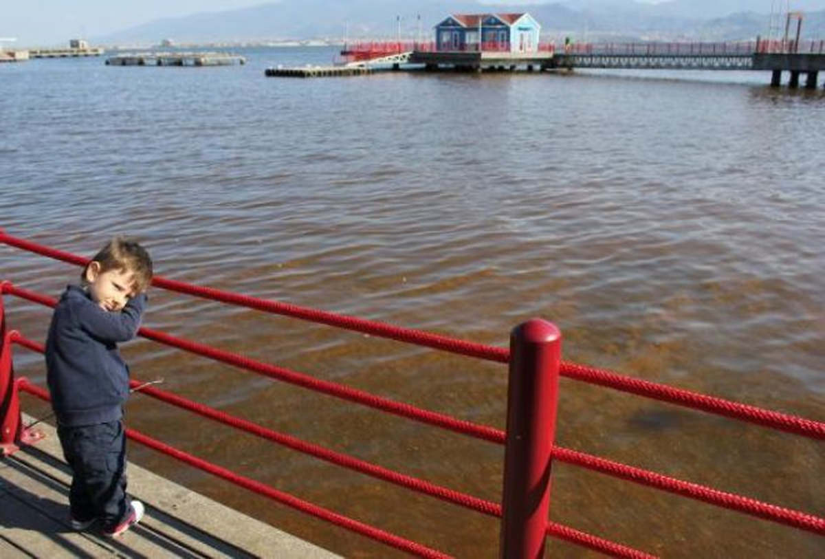 İzmit\'te Deniz Suyu Koyu Kahverengi Oldu