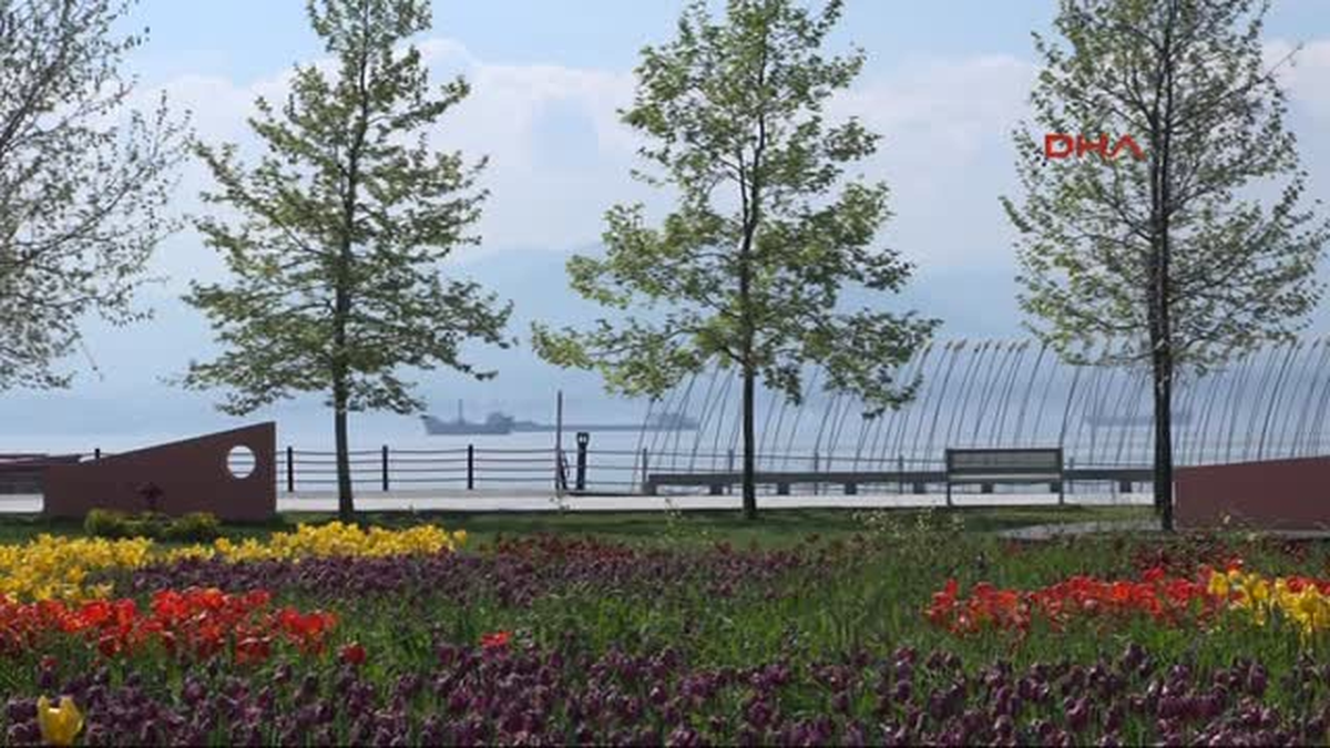 İzmit\'te Parklar Rengarenk, Deniz Suyu Koyu Kahverengi