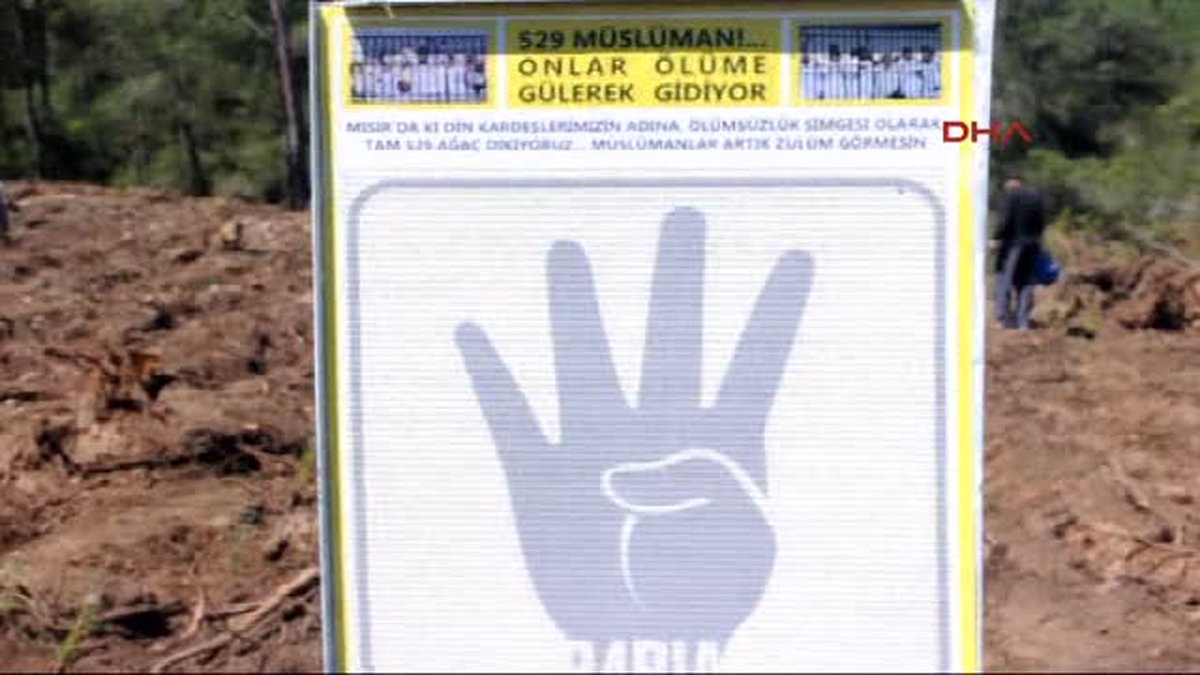 Mısır\' Daki İdam Mahkumları İçin Bodrum\' da 529 Fidan