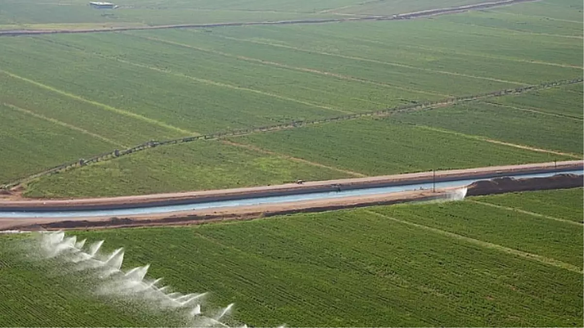 Bilinçsiz Sulama Yer Altı Sularını Kurutuyor