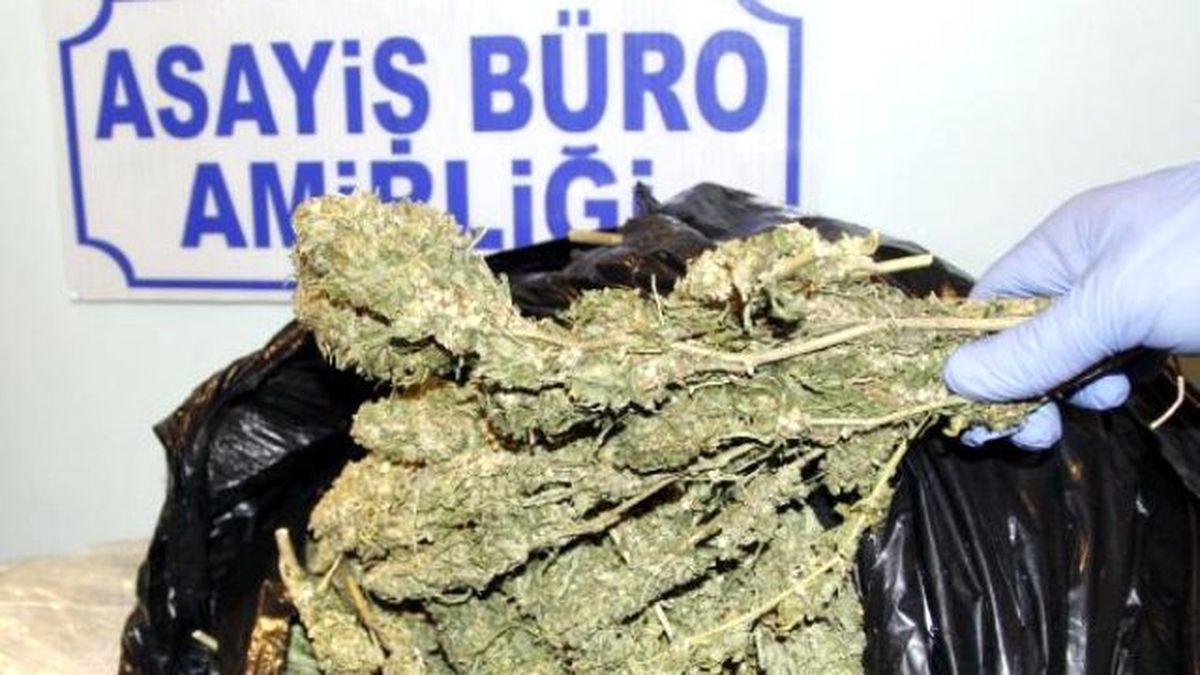 Siverek\'te Esrar Operasyonu: 3 Gözaltı