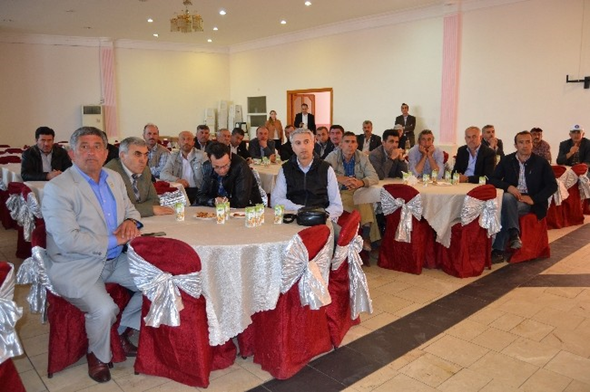 Aşırı Sulama Biberi Hasta Ediyor