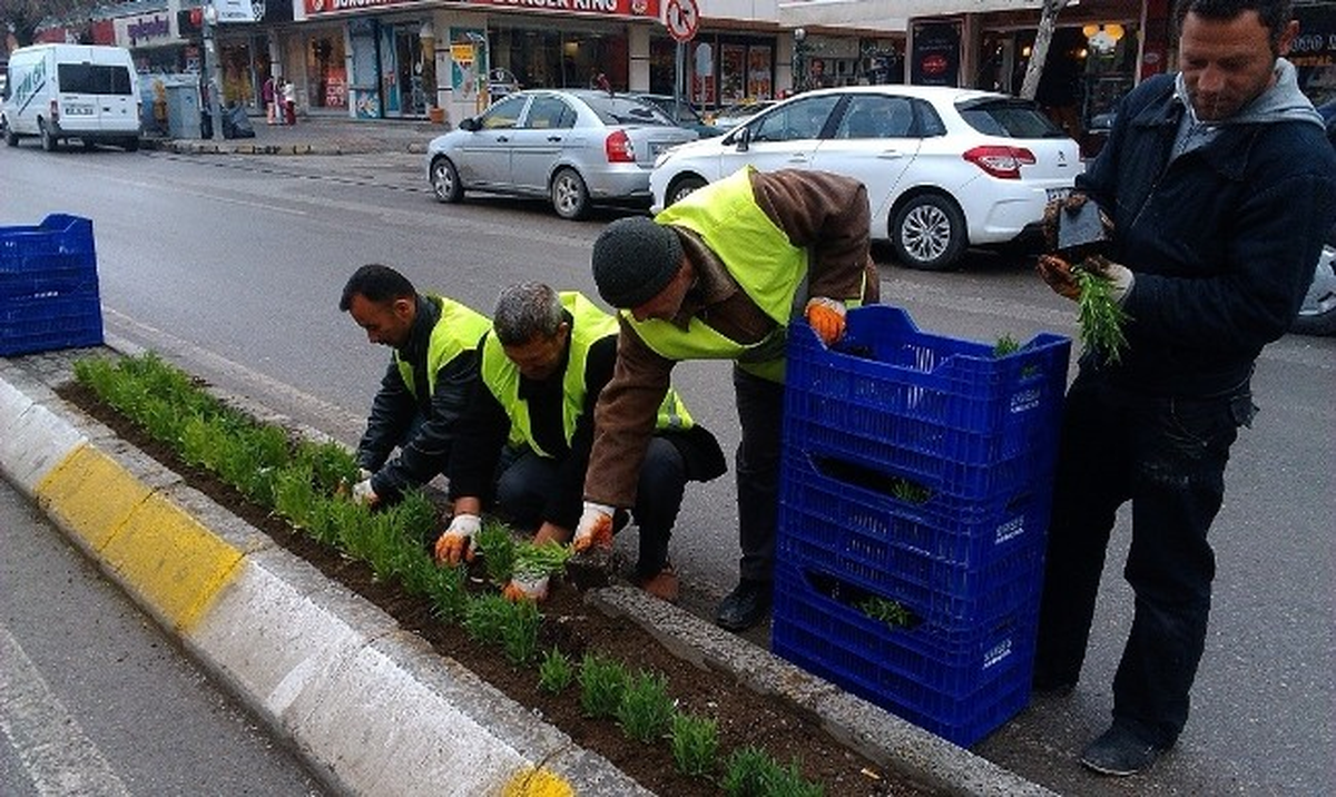 Erzincan\'da Binlerce Çiçek Toprakla Buluşuyor