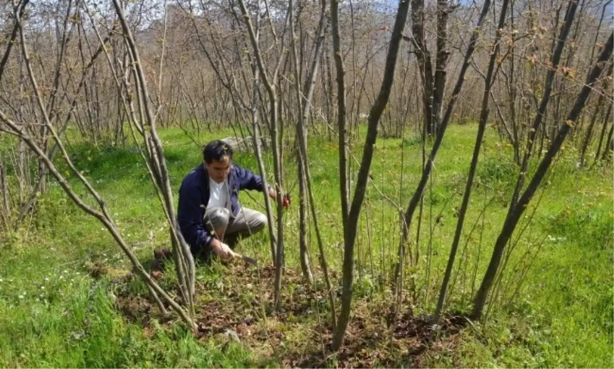 Fındıkta Kalite ve Verim Toplantıları