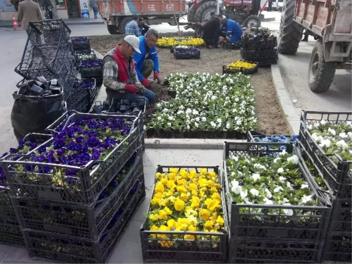 Kırıkkale Mevsim Çiçekleri ile Renklendi