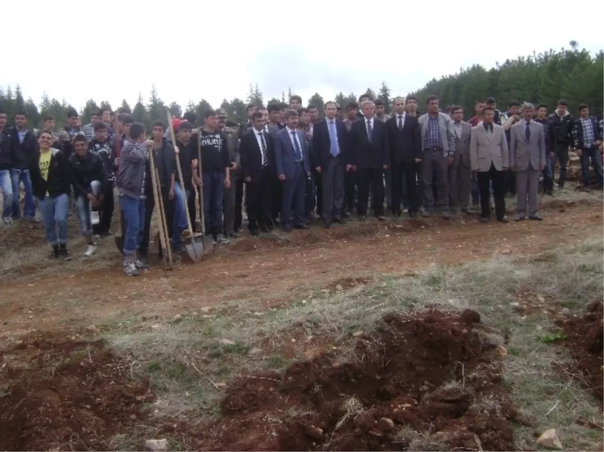 Ormanlar Hayat Bulsun Projesi ile Bin Çam Fidanı Dikildi