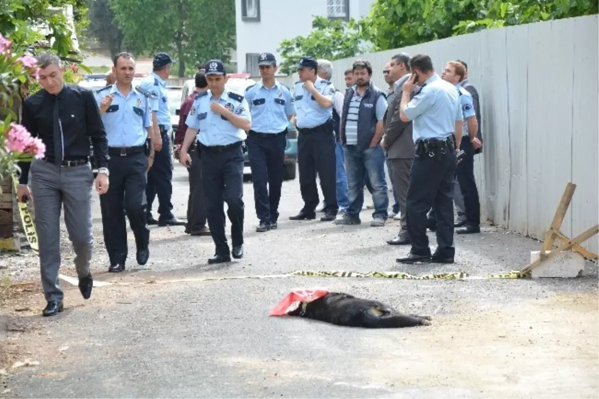 Adana\'da Polise Köpekli Saldırı Kanlı Bitti