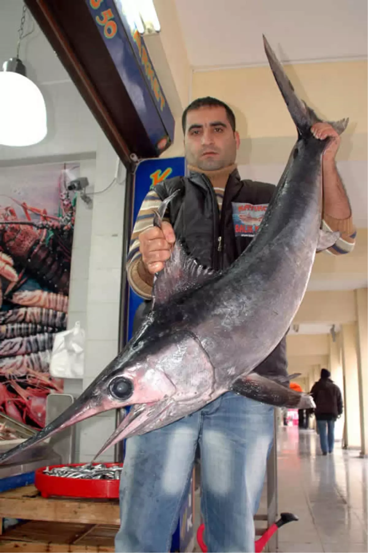 Saros Körfezi'nde, Kılıç Balığı Avı Başladı