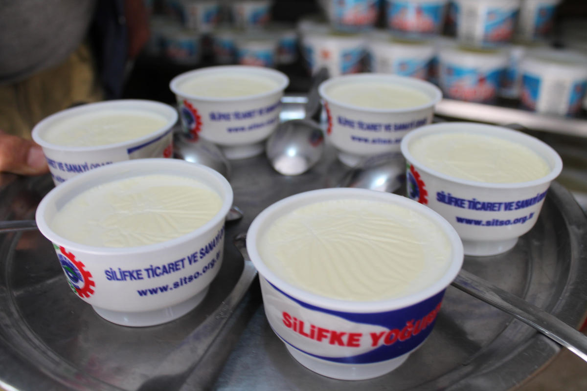 Silifke\'nin Yoğurduna Coğrafi İşaret Talebi