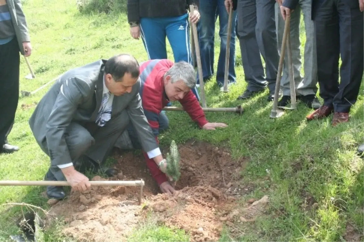 Toplum Ruh Sağlığı Merkezi\'nden Hatıra Ormanı