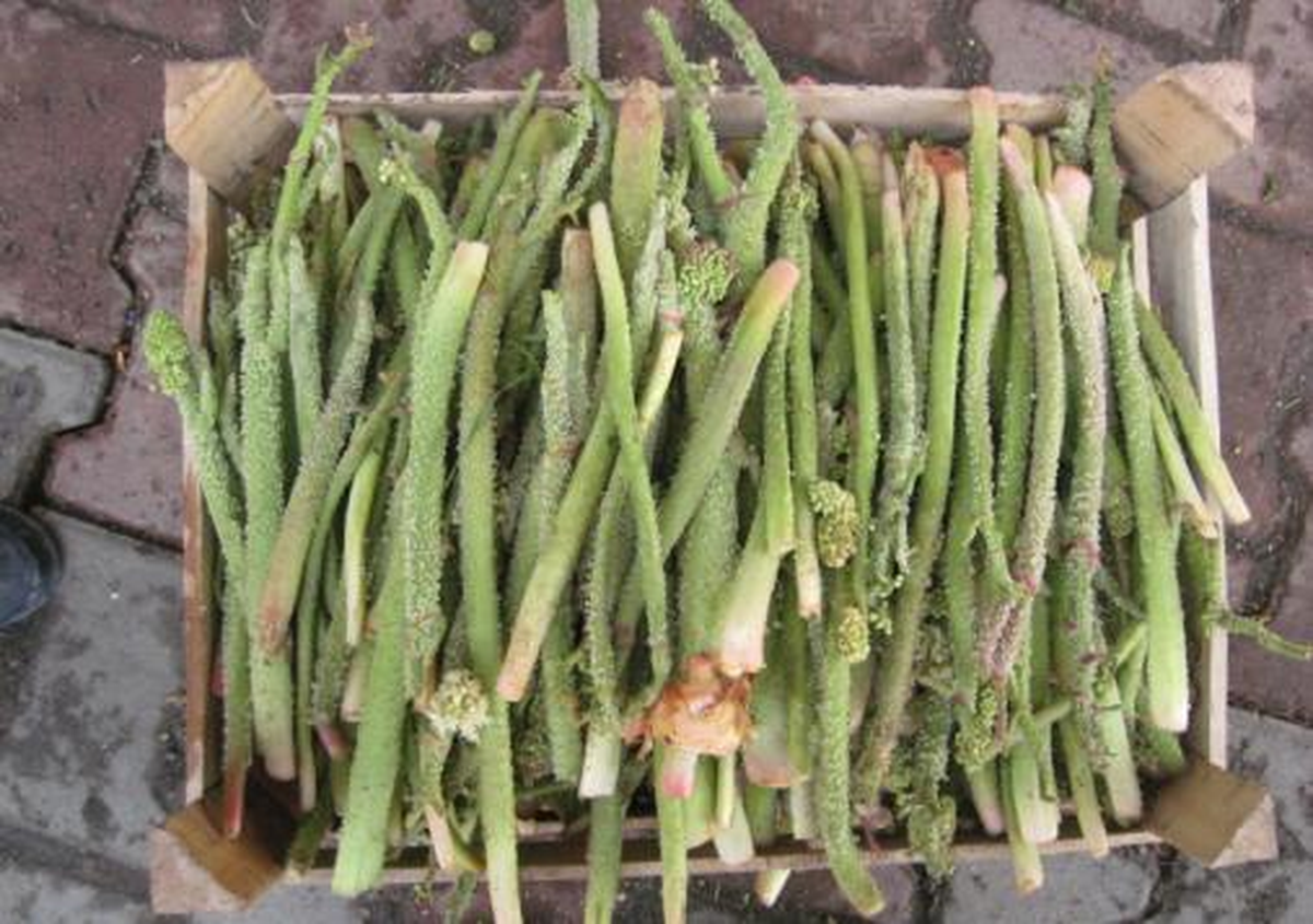 Tunceli'de Işkın Tezgahlarda