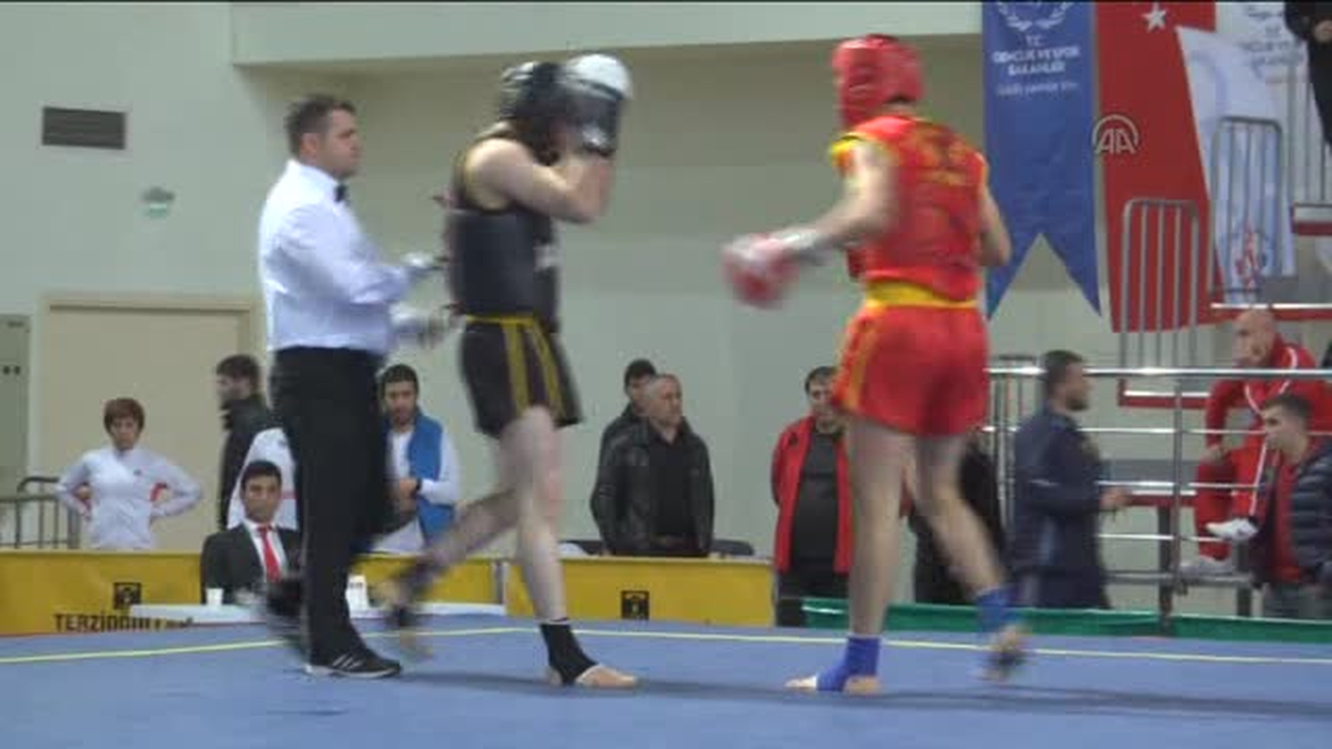 Türkiye Büyükler Wushu Şampiyonası Sona Erdi