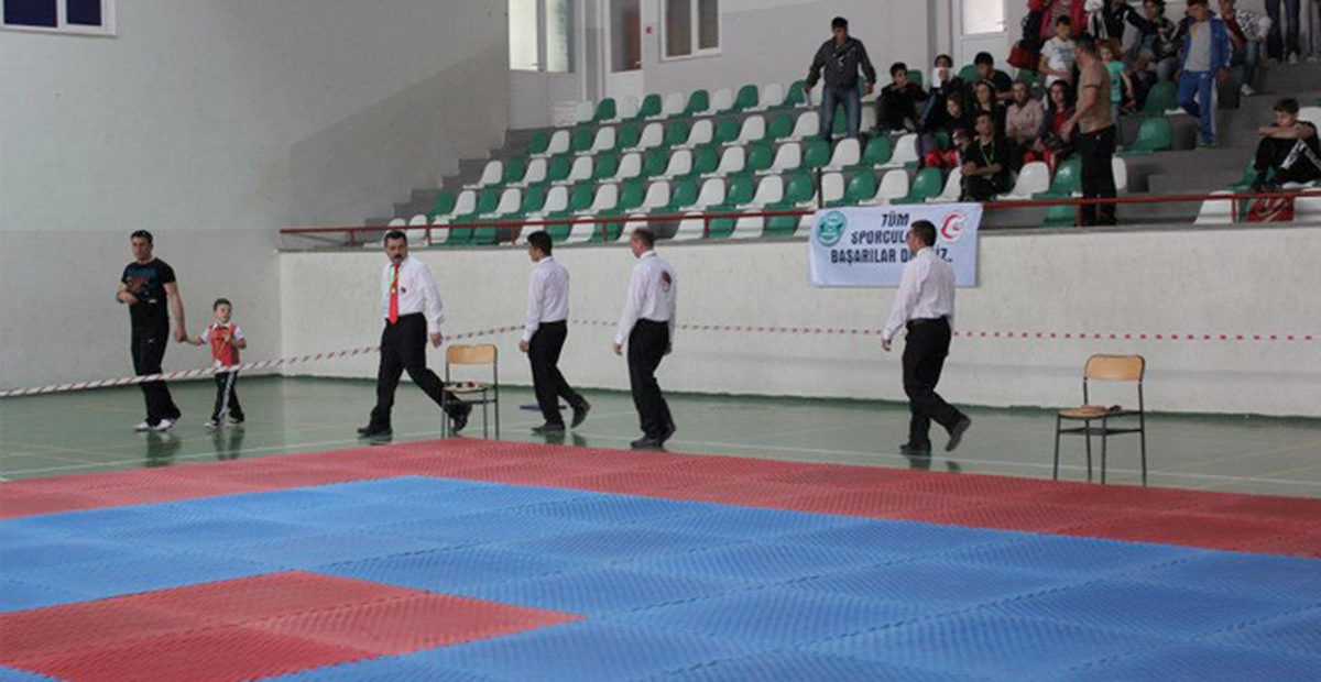 Türkiye Büyükler Wushu Şampiyonası Sona Erdi