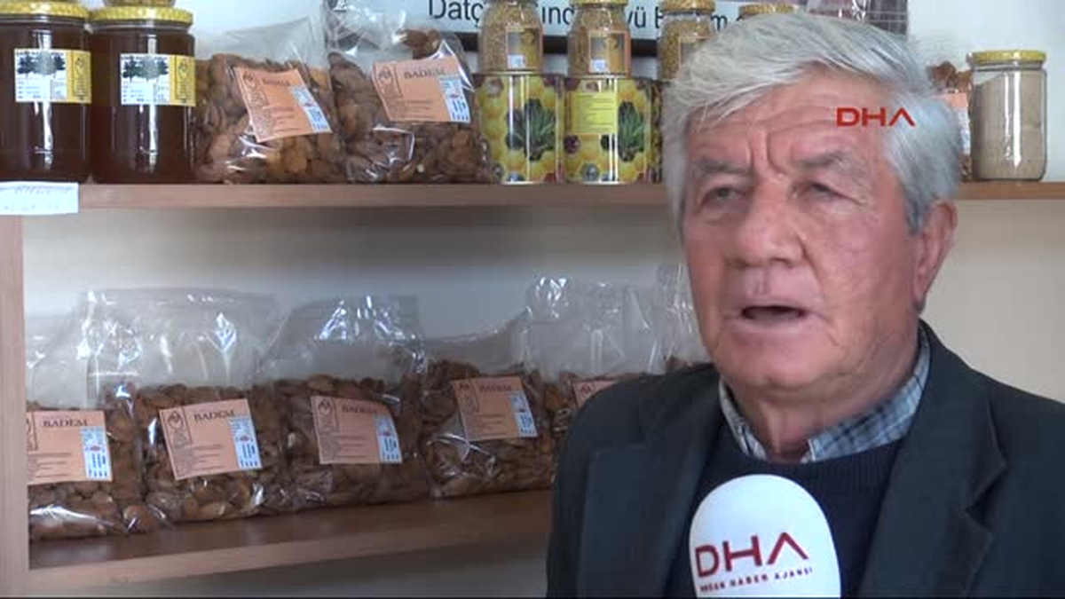 Badem Rekoltesinde Bu Yıl Artış Bekleniyor