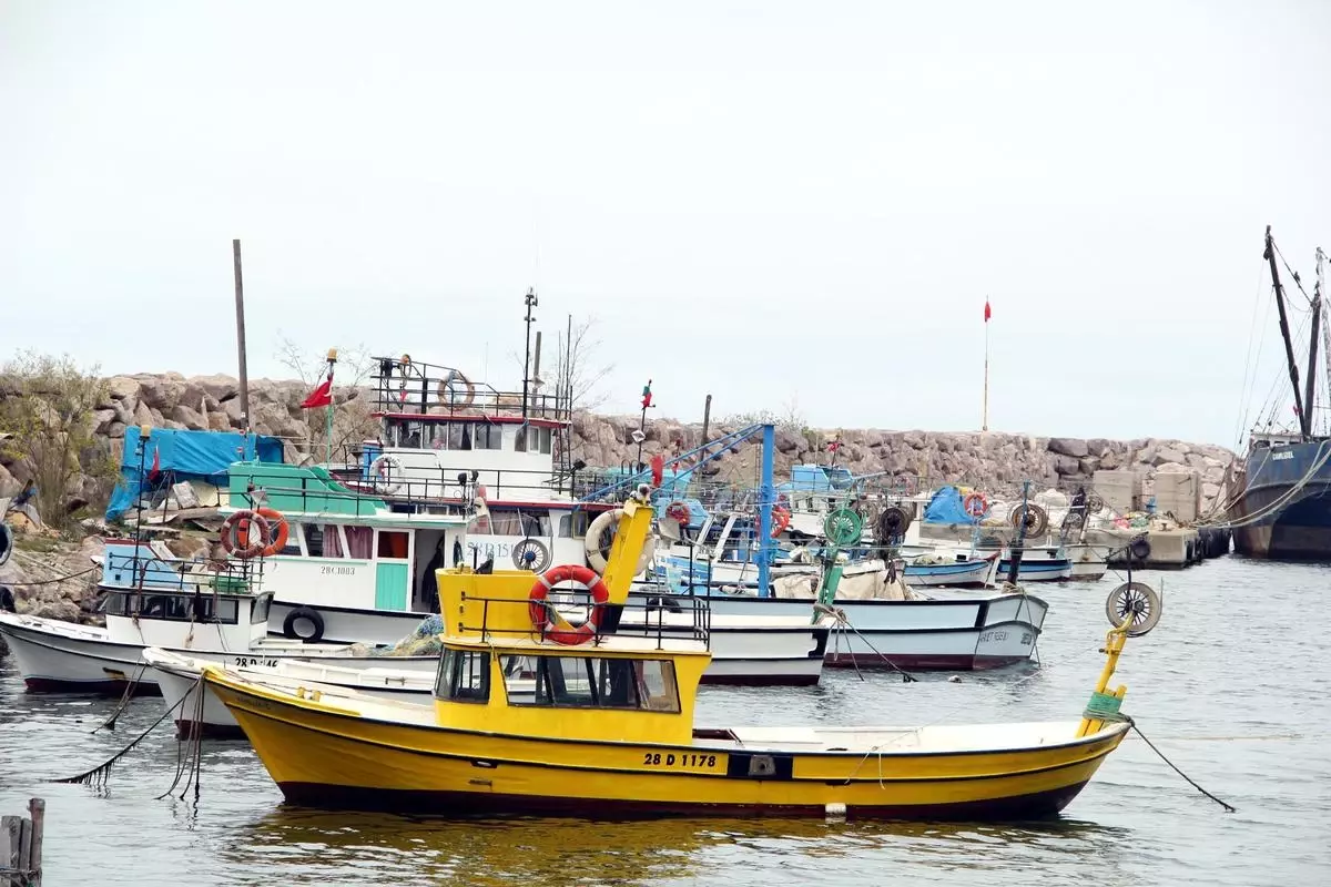 Balıkçılar Yeni Eleman Yetişmemesinden Dertli