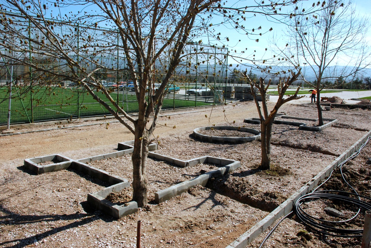 Gediz\'de Lale Dikildi