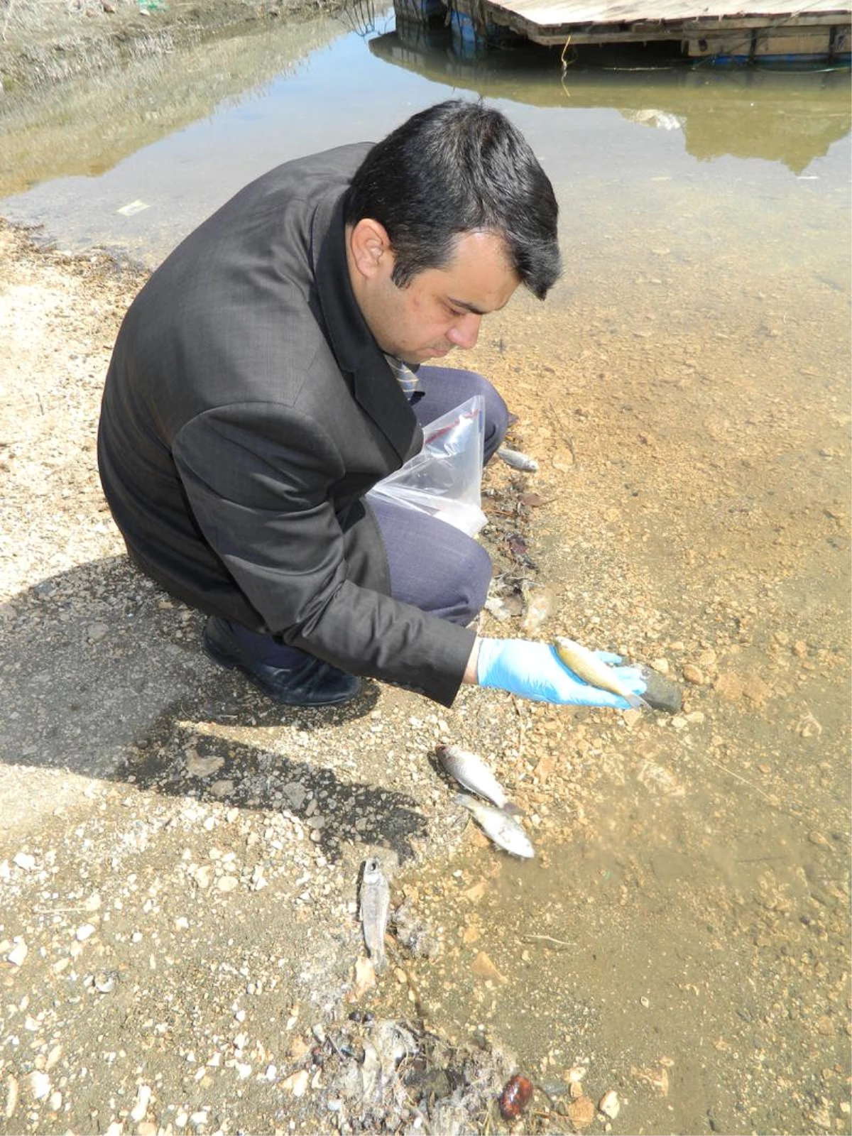 Karamanlı Barajı\'nda Toplu Balık Ölümleri