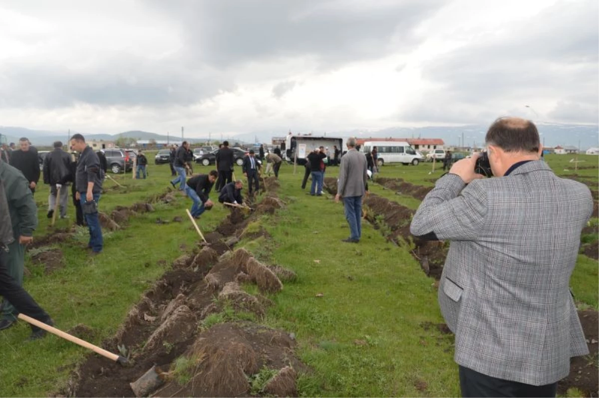 Artvin\'de Fidan Dikim Etkinliği Yapıldı