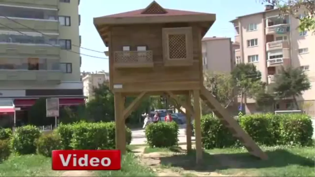 Kuşlara Villa Gibi Ev