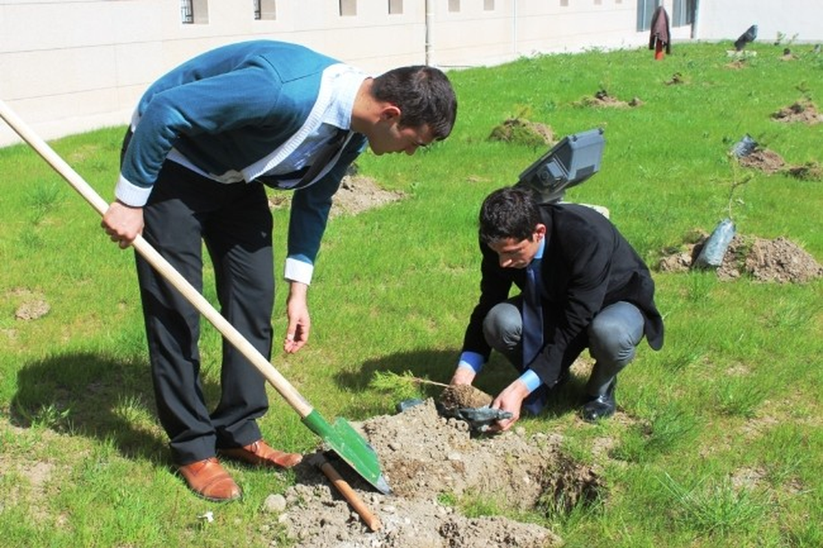 Van Adalet Sarayı Bahçesine Hükümlüler Tarafından Fidan Dikildi