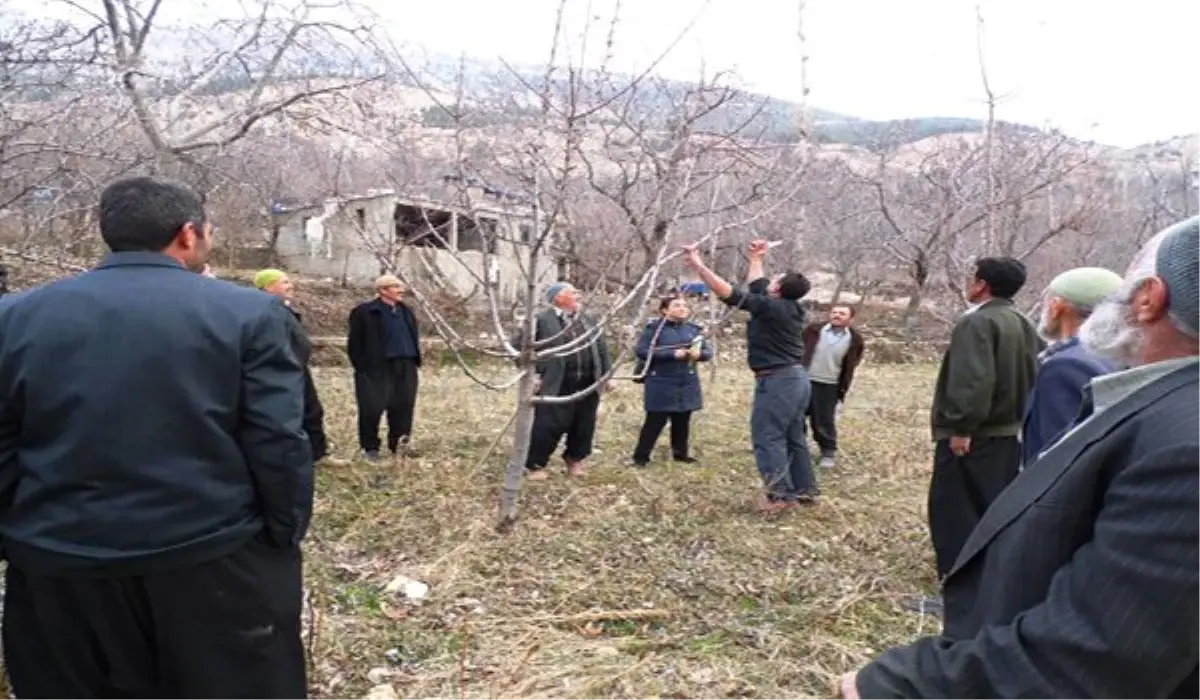 Çiftçiler Teknik Konularda Bilgilendiriliyor