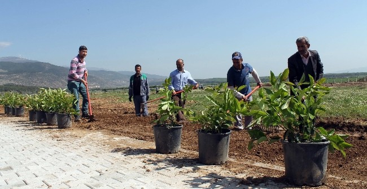 Gaün İslahiye İibf Kampüsünde İki Bin Fidan Dikildi