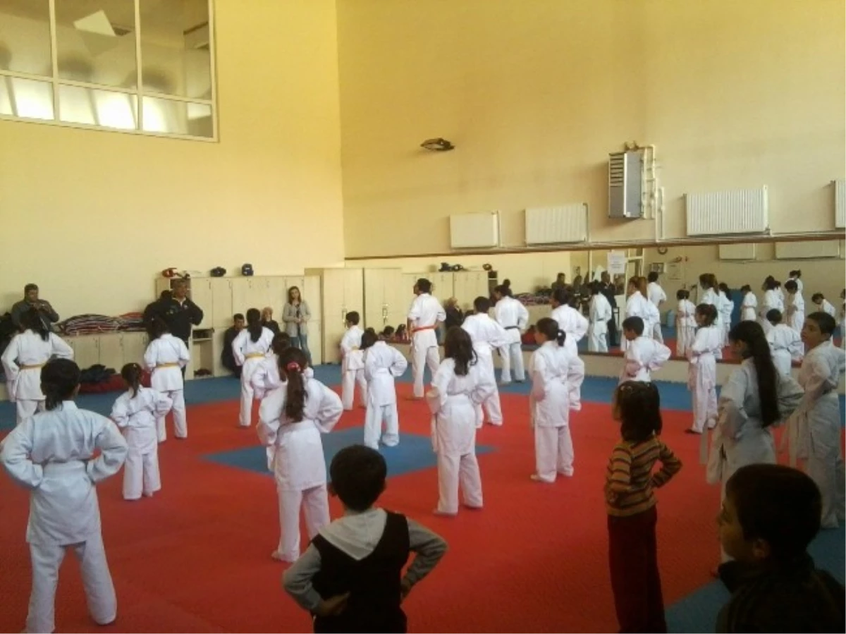 Van\'da Karate Sporuna Büyük İlgi