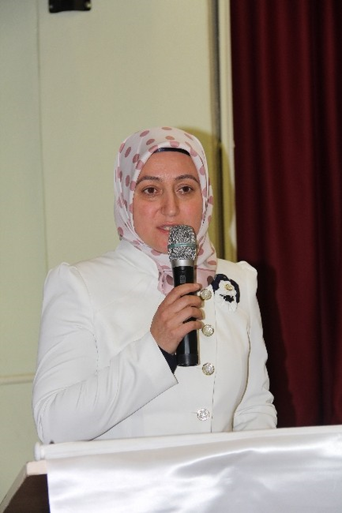 Bozkurtlu Kadınlar İçin Mesleki Eğitim Semineri