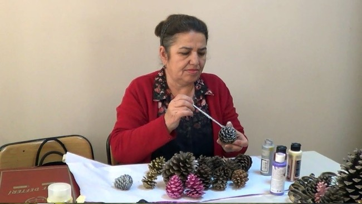 Ordu\'da Çam Kozalağı Ek Gelir Kapısı Oldu