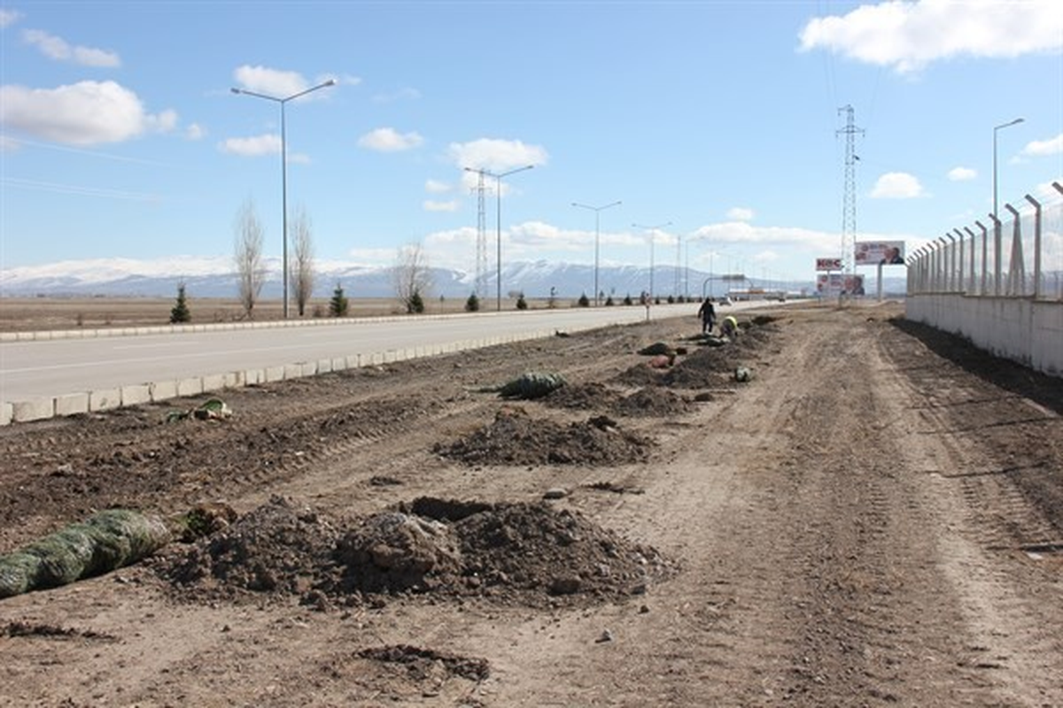 Erzurum\'da Ağaç Dikimi