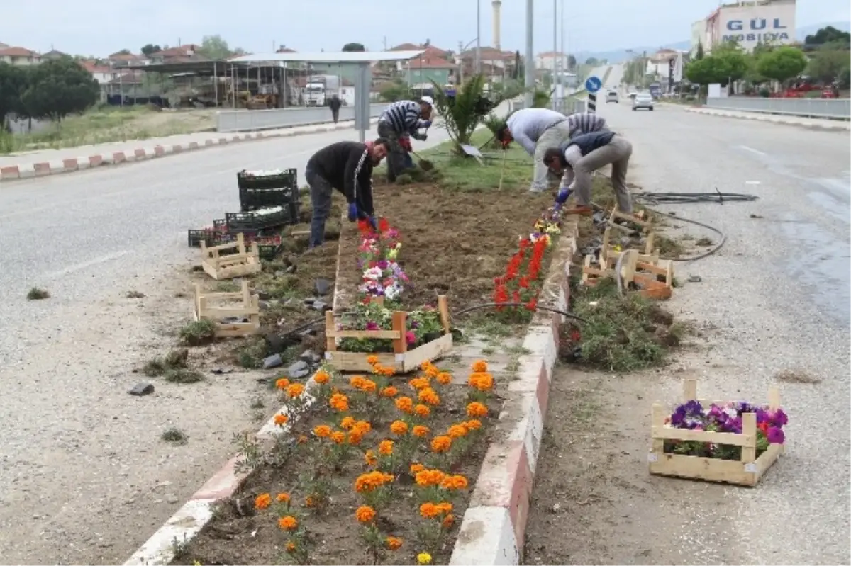 Köprübaşı Çiçekleniyor