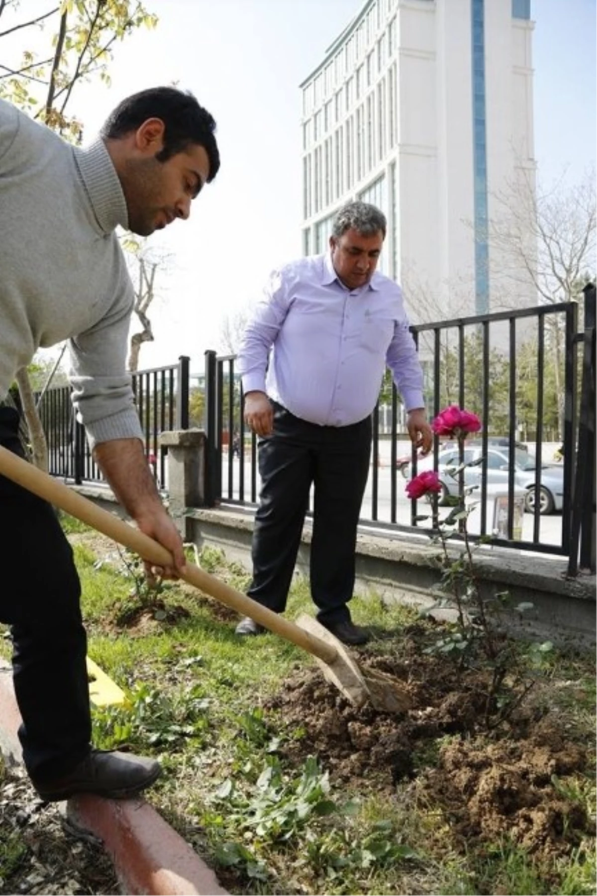 Kutlu Doğum Haftası