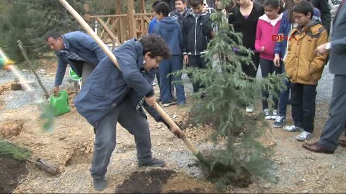 Şişli Belediye Başkanı İnönü Fidan Dikti