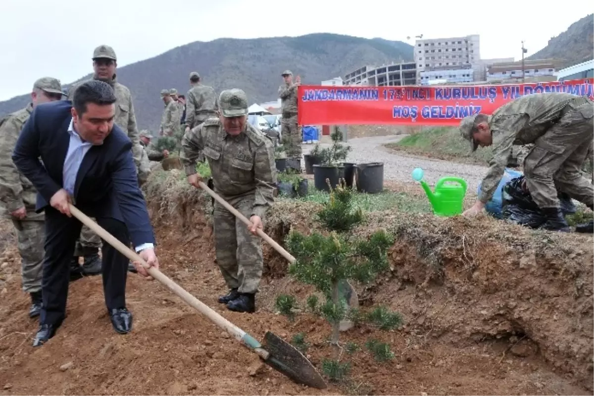 Jandarma, 175. yılında Bin 175 Fidan Dikti