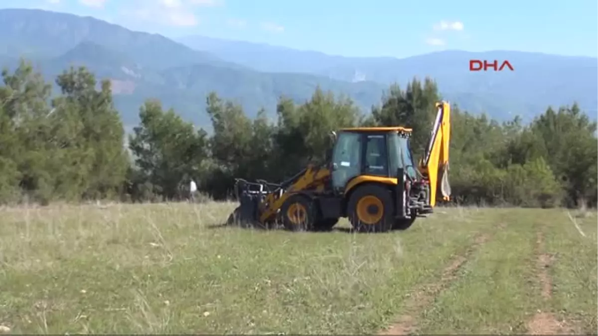 Osmaniye\'de Çıkan Yangında 1 Hektar Kızılçam Zarar Gördü