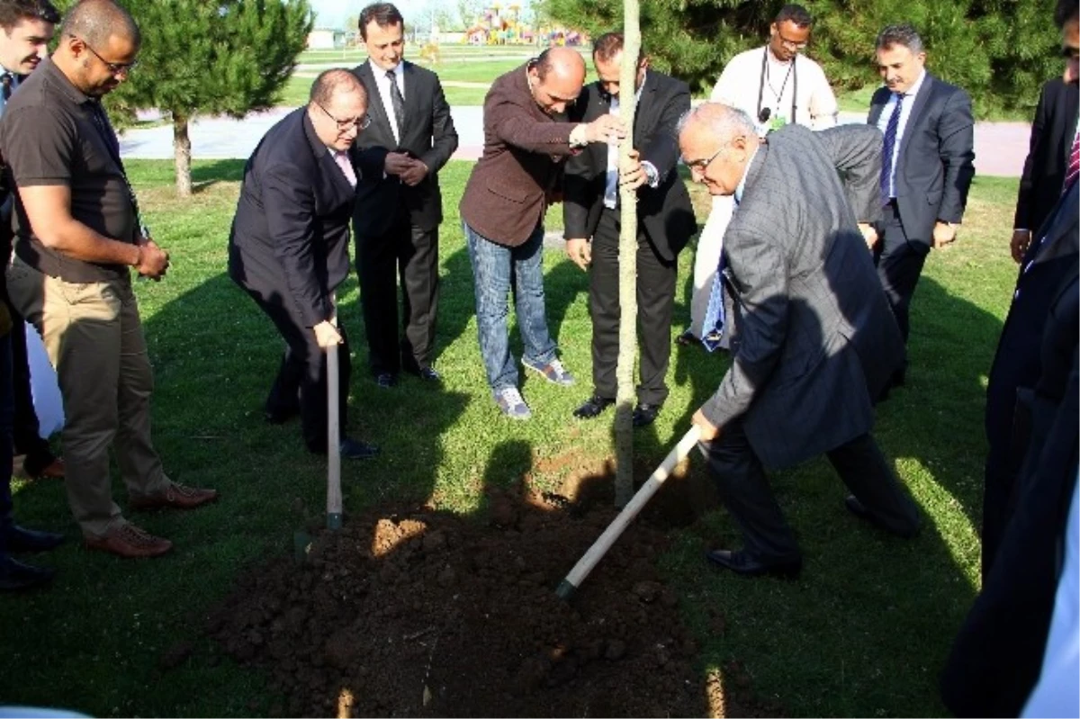 Yılmaz, Suudi Arabistanlı Konukları ile Çınar Fidanı Dikti